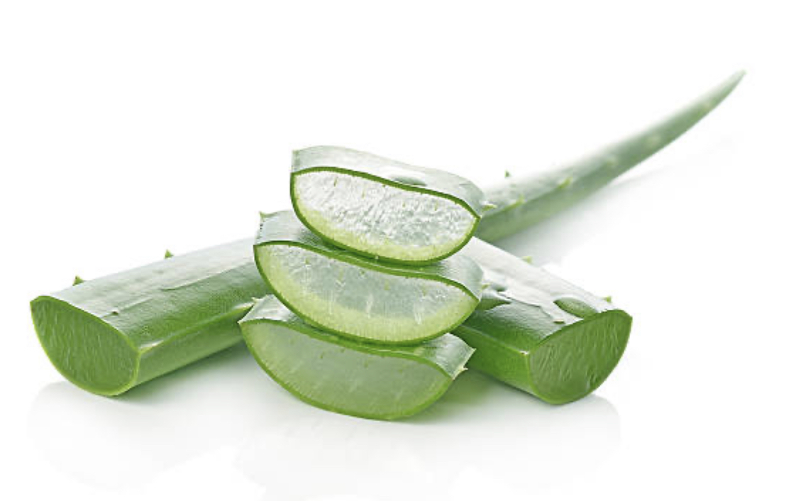 Benefits Of Natural Aloe Vera Products to Skin and Health